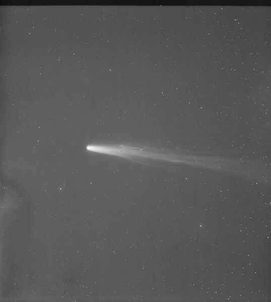 File:Halley's comet 1910.jpg