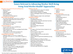 A full page of listing of issues relevant to NIOSH Total Worker Health, broken into the following categories: Control of Hazards and Exposures, Organization of Work, Built Environment Supports, Leadership, Compensation and Benefits, Community Supports, Changing Workforce Demographics, Policy Issues, and New Employment Patterns.
