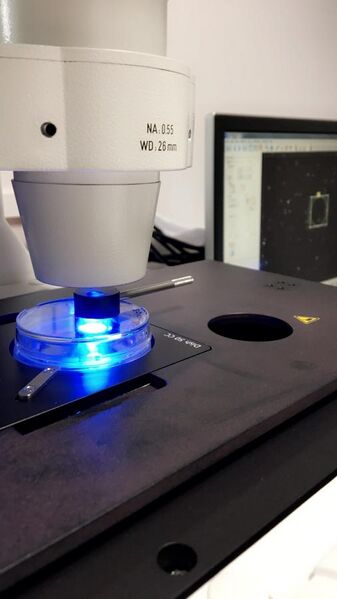 File:Laser Capture Microdissection.jpg
