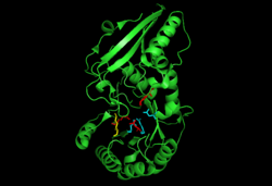 MenC with ligand.png