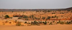 Niger, Niamey, Dunes (19), panorama.jpg