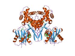 PDB 1q18 EBI.jpg