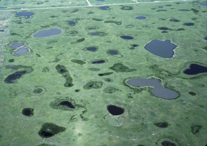 File:Prairie Pothole Wetlands.jpg