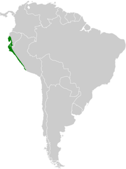 Sporophila peruviana map.svg