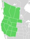 Symphyotrichum ascendens distribution map: Canada — Alberta, British Columbia, and Saskatchewan; Canada — Arizona, California, Colorado, Idaho, Montana, Nevada, New Mexico, North Dakota, Oregon, Utah, Washington, and Wyoming.