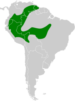 Tangara nigrocincta map.svg