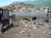 Waste dumping in a slum of Cap-Haitien.jpg
