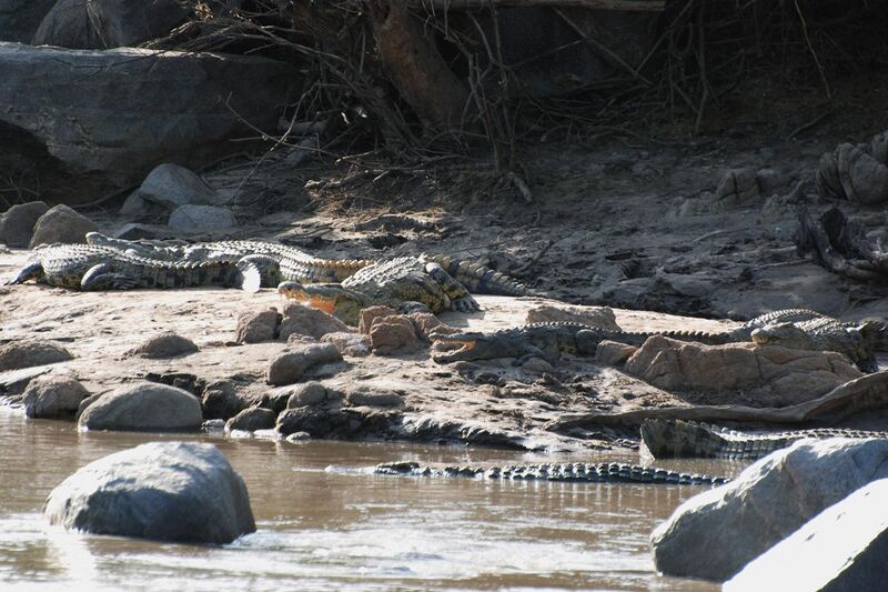 File:Western Serengeti 2012 06 02 4066 (7557751996).jpg