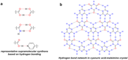 (a) Representative hydrogen bond patterns in supramolecular assembly. (b) Hydrogen bond network in cyanuric acid-melamine crystals.png