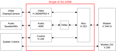 Scope of 3G-324M