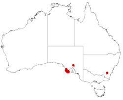 Acacia alcockiiDistMap26.png