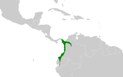 Cantorchilus leucopogon map.svg