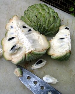 Custard Apple.jpg