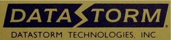 DataStorm Technologies Logo.jpg