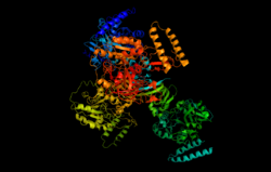 HUDP-glucose pyrophosphorylase pymol.png