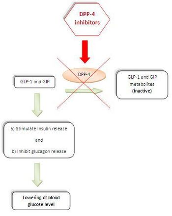 Inhibition of DPP-4 enzyme.JPG