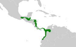 Laniocera rufescens map.svg