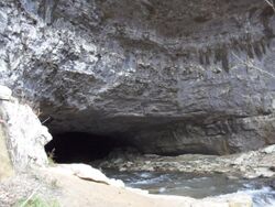 Lost Cove Cave Main Entrance From Below.jpg