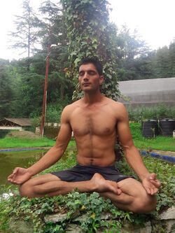 Meditation, Shimla.jpg