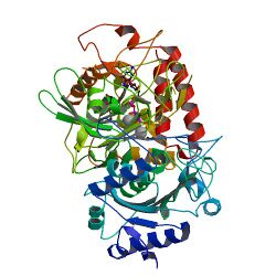 PBB Protein PCK1 image.jpg
