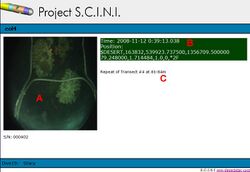 SCINI Image Annotation PILOT.jpg