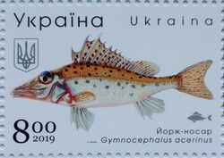 Stamp of Ukraine s1787 Gymnocephalus acerina.jpg
