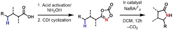 Sukbok Chang's gamma lactam synthesis