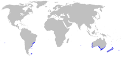 Tarakihi Distribution Map.png