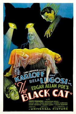 The Black Cat (1934 poster - Style D).jpg