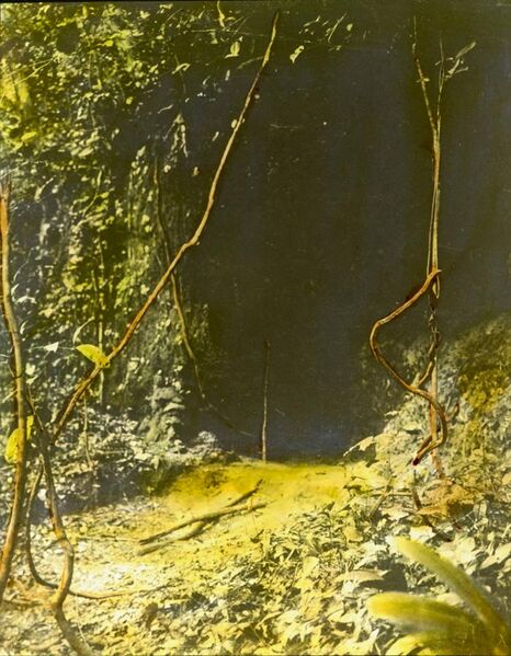 File:-Remains of Long Juju Gorge, Arochuku-, late 19th century (imp-cswc-GB-237-CSWC47-LS2-041).jpg