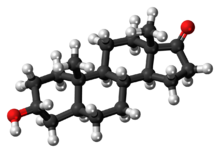 Ball-and-stick model of the androsterone molecule