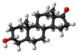 Androsterone-3D-balls.png