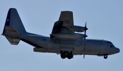 C-130 H Hercules, Chilean Air Force (FACh).JPG