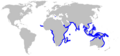 Pigeye shark geographic range