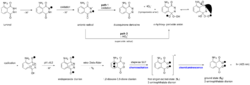 Chemoluminescence mechanism of luminol (cyclic hydrazide) in basic, aqueous solution.svg