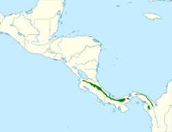 Chrysothlypis chrysomelas map.svg