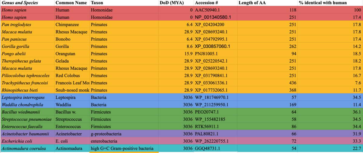 Hp53int1 ortholog table.png