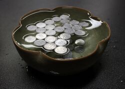 Surface tension with coins.JPG