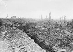 Photograph of a trench in France surrounded by a bombed landscape and broken trees
