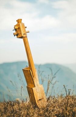 Tongtoróng Tiwa musical instruments.jpg