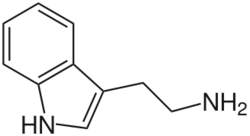 Tryptamine.svg