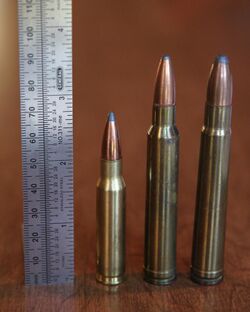 8mm Remington Magnum with .308 win and .375 H&H for comparison.JPG