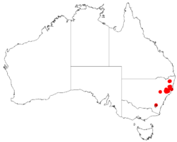 Acacia barringtonensisDistMap102.png