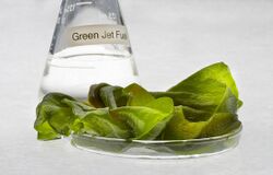 Algae fuel in a beaker.jpg