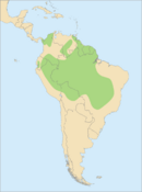 Northern South America excluding the Andes mountains and the coast of Brazil south of the Amazon river delta