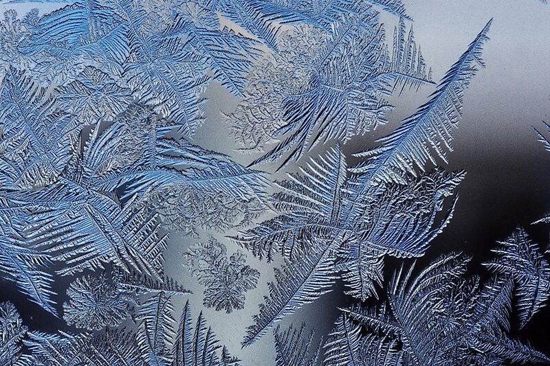 File:Frost patterns 2.jpg