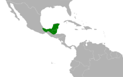 Granatellus sallaei map.svg