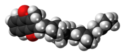 Menatetrenone molecule spacefill.png