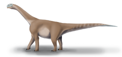 Moabosaurus utahensis restoration.png