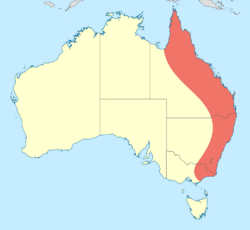 Nannophya australis distribution map.svg